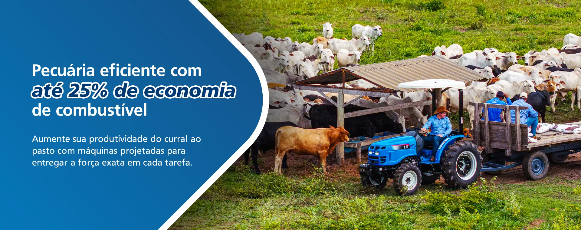 Tecnologia sul-coreana, coração brasileiro.